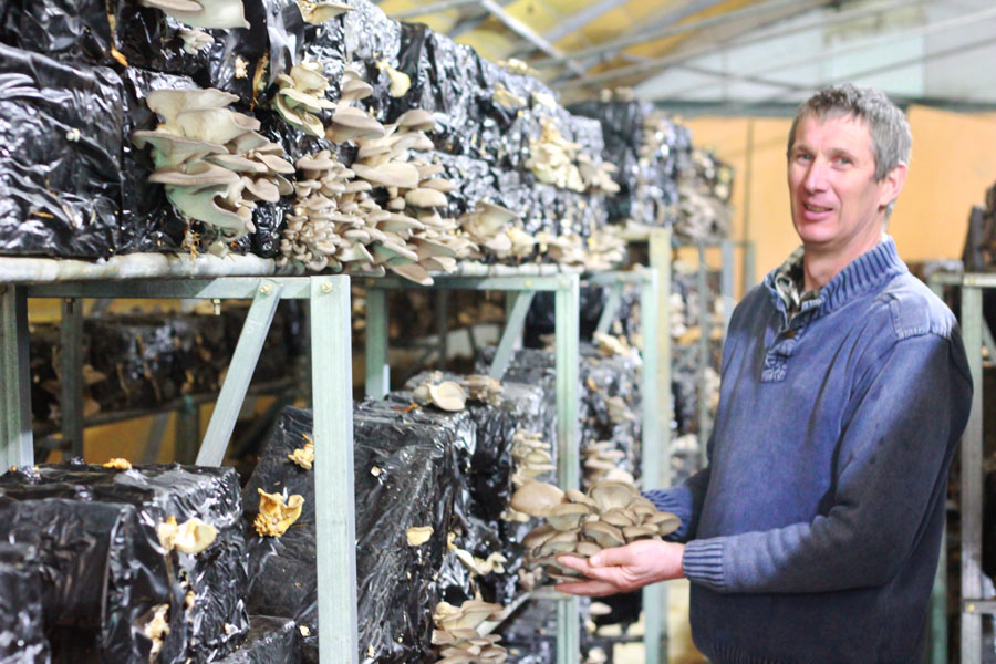Champignonnière de l'Orme Rond