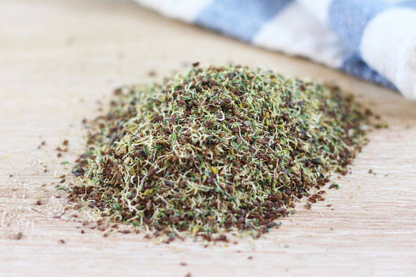 Jeunes pousses séchées Alfalfa - Le Jardin de Guillaume