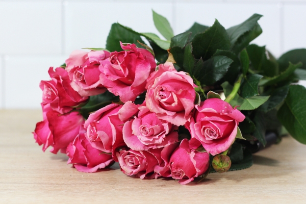 Roses roses - Place des Producteurs