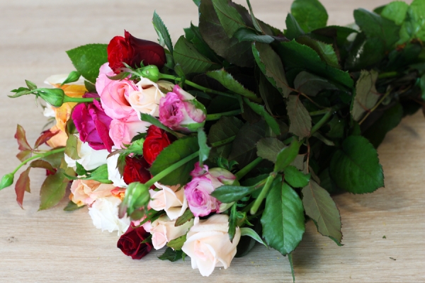 Roses multicolores - Place des Producteurs