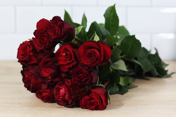 Roses rouges - Place des Producteurs