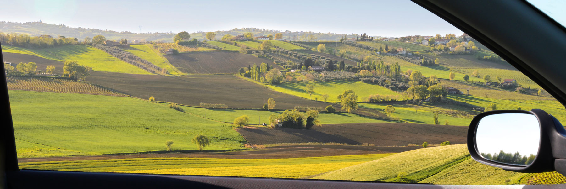 L'origine du comptoir local