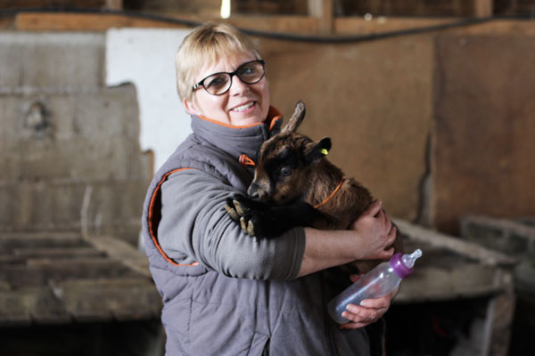 L'enclos des chevrettes