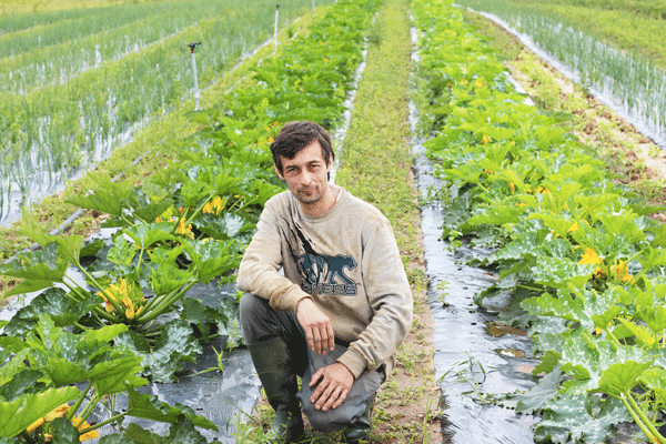 Le Potager de la Grenouillère