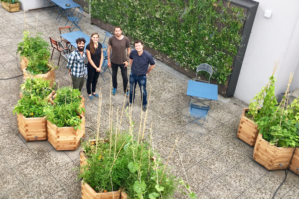 La Cueillette Urbaine