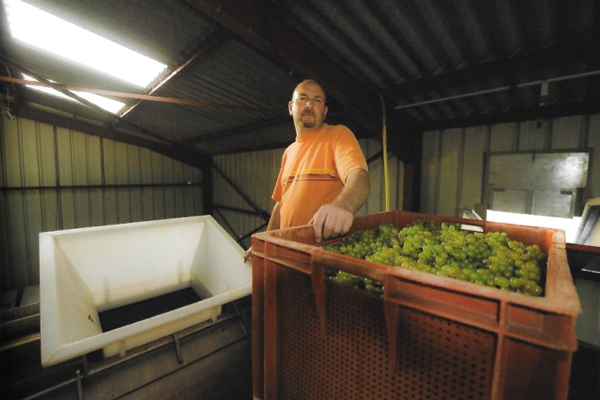 Champagne Hervé Bombart