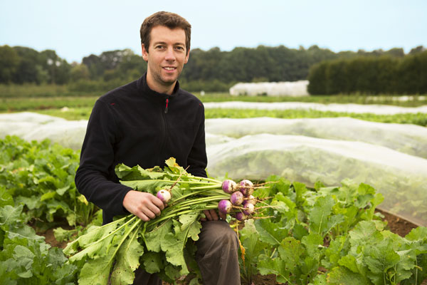 Cueillette du Plessis