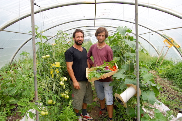 La Ferme de La Nouë
