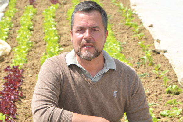 Les Légumes de Planche