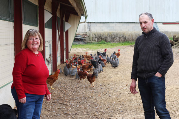 Les Volailles de la Noue