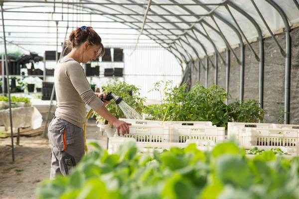 Les potagers de Marcoussis