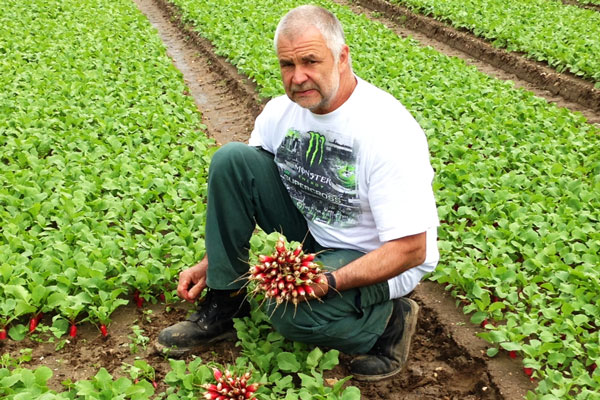 Annie, Francis et Julie Tremblay