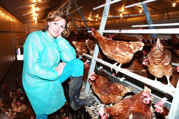 Les P'tites Cocottes d'Edith