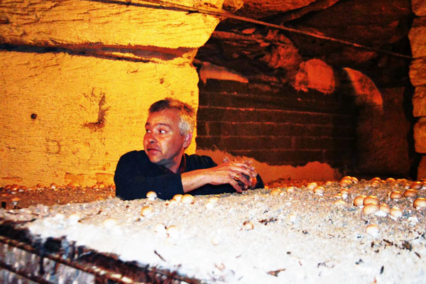 Champignonnière de la Marianne