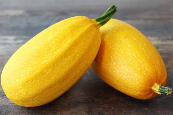 Courge spaghetti BIO - Les Légumes de Planche