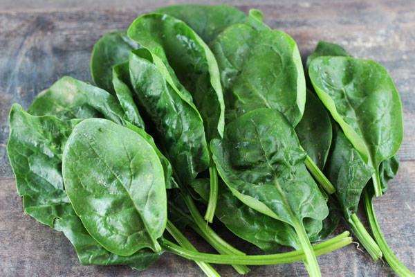 Epinard - Annie, Francis et Julie Tremblay