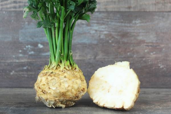 Céleri rave avec fane Bio - Le Potager de la Grenouillère