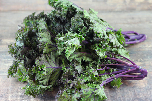 Kale rouge - Annie, Francis et Julie Tremblay