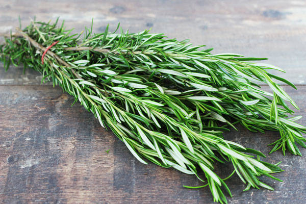 Romarin - EARL Chevet