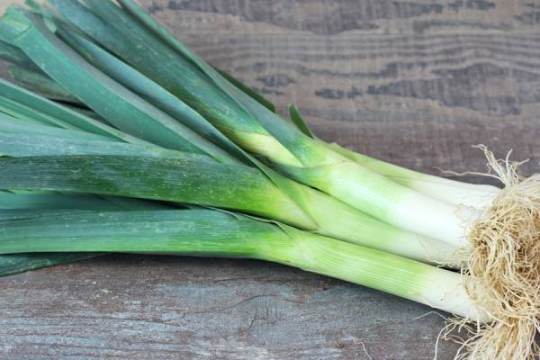 Poireaux - Le Potager d'Olivier