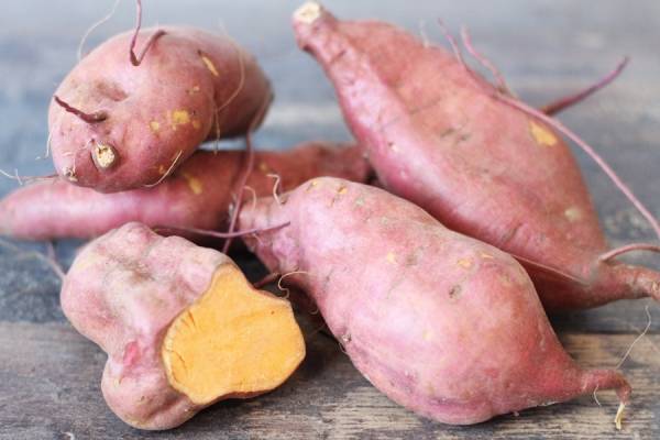 Patate douce - Les Légumes de Laura