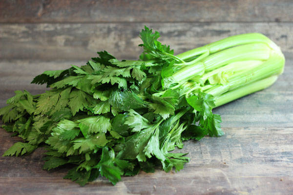 Céleri branche - Annie, Francis et Julie Tremblay