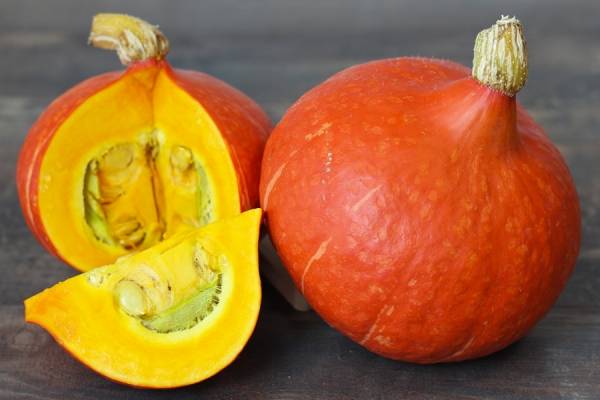 Potimarron BIO - Fabien Frémin