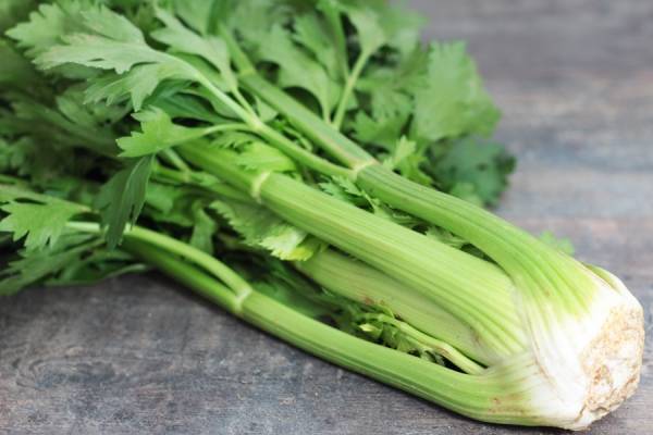 Céleri Branche Bio - SCEA Koorin