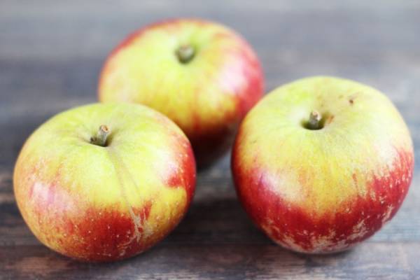 Pomme Cox - Vergers de Molien