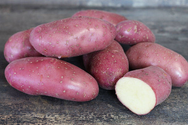Pomme de terre Chérie  - Ferme de la Concie
