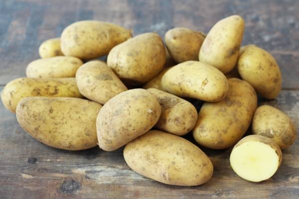 Pomme de terre Annabelle - Le Potager d'Olivier