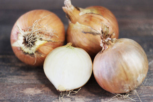 Oignon Jaune Bio - Fabien Frémin