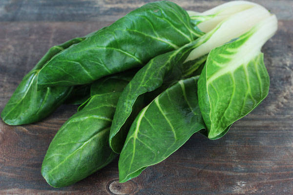 Feuilles de blette courte - Ferme de la Marche