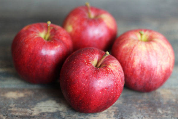 Pomme Royal Gala - Vergers de Molien