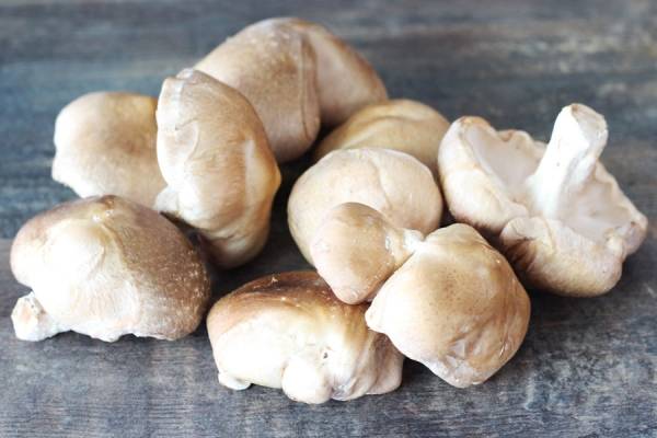 Shiitake BIO - Les potagers de Marcoussis