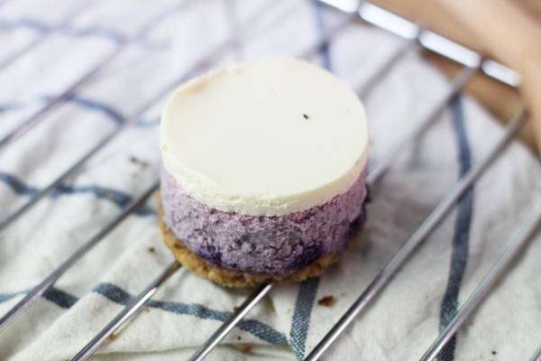 Cheesecake aux myrtilles sauvages - Rachel's Cake