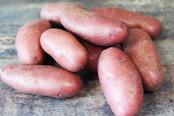 Pomme de Terre Chérie - Les Avenages