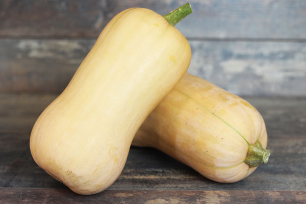 Butternut - Ferme de la Marche