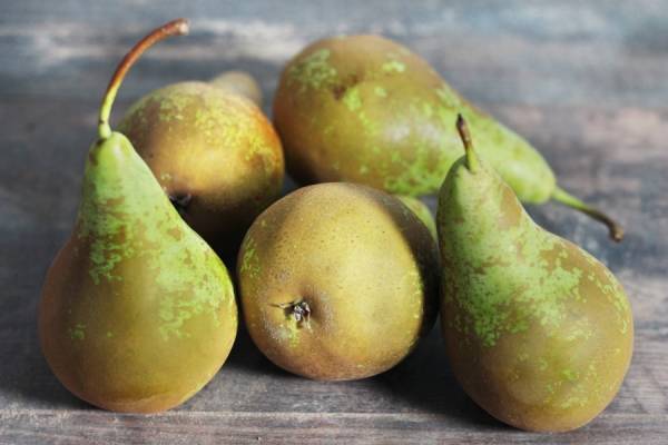 Poire Conférence - Vergers de Pomamour