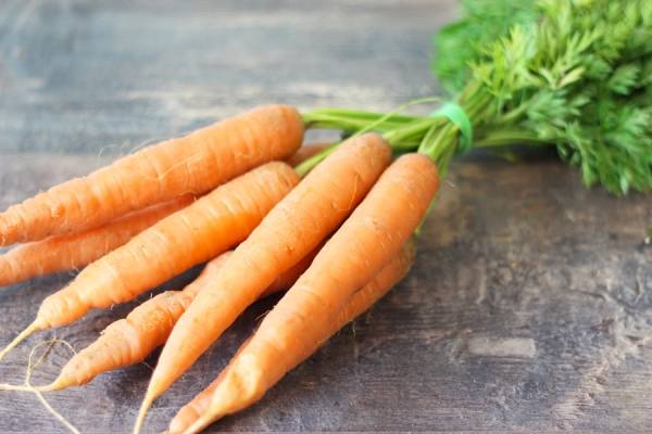 Carotte botte BIO - SCEA Koorin