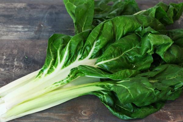 Blettes Bio - Fabien Frémin