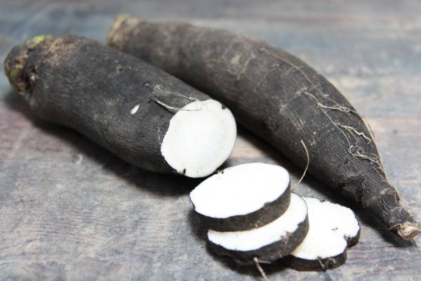 Radis noir - Les Légumes de Laura