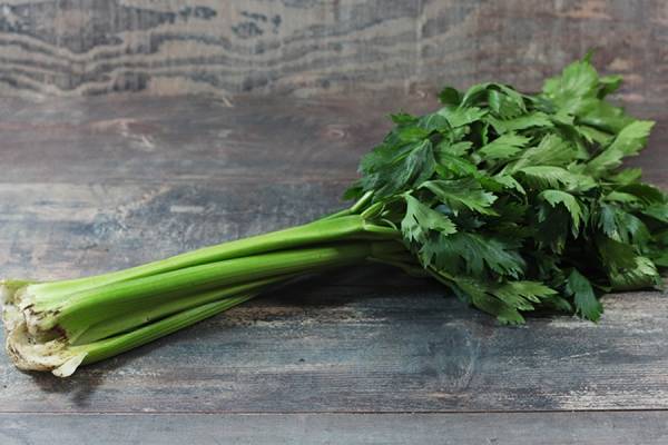 Céleri Branche Bio - Les jardins de Courances