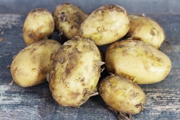 Pommes de terre nouvelle - Stéphane Milville