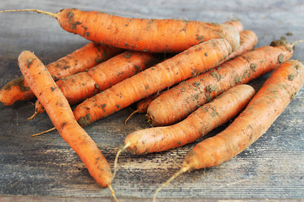 Carotte - Ferme de la Marche