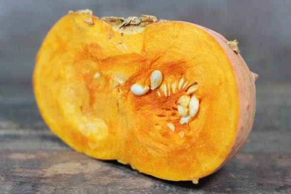 Courge Galeuse d'Eysine BIO - Les jardins de Courances