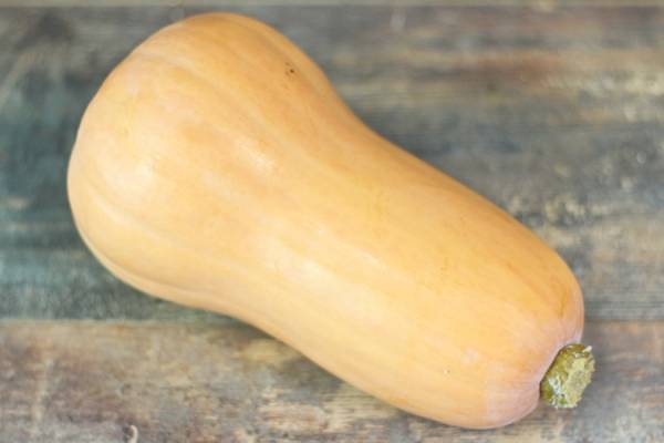 Butternut - Le Potager d'Olivier