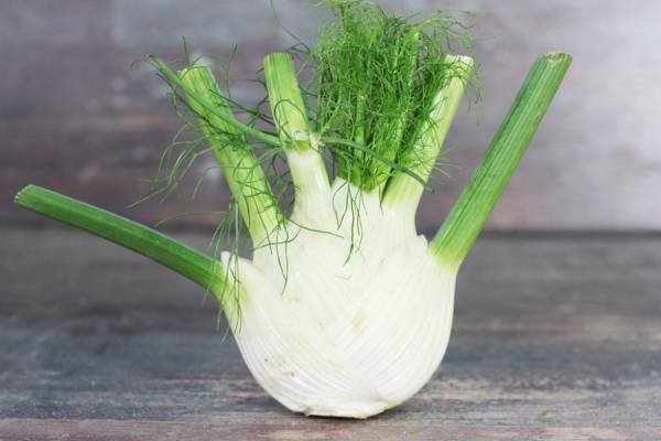 Fenouil - Annie, Francis et Julie Tremblay