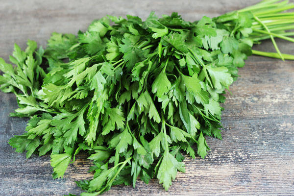 Persil plat - EARL Chevet