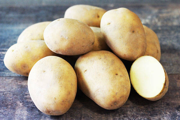 Pomme de terre Agata - Le Potager d'Olivier